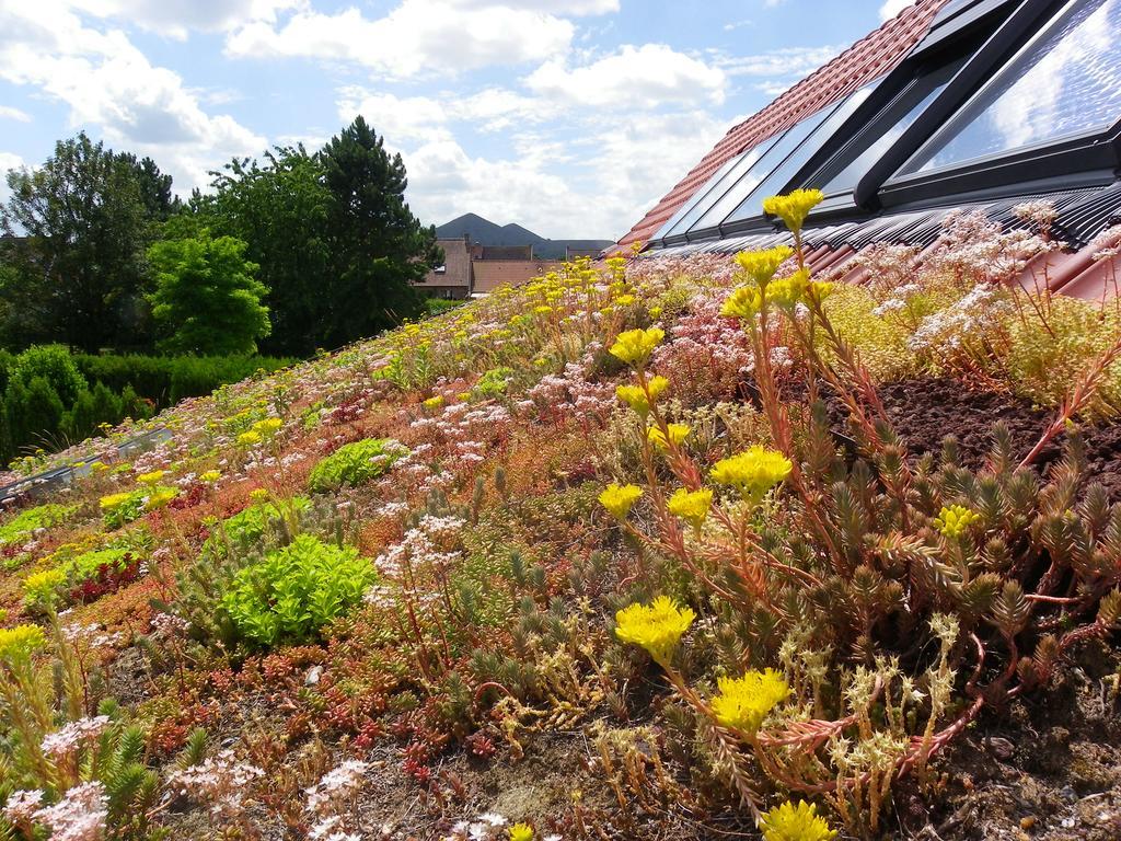 فيلا Fleur De Ciel Loos-en-Gohelle المظهر الخارجي الصورة
