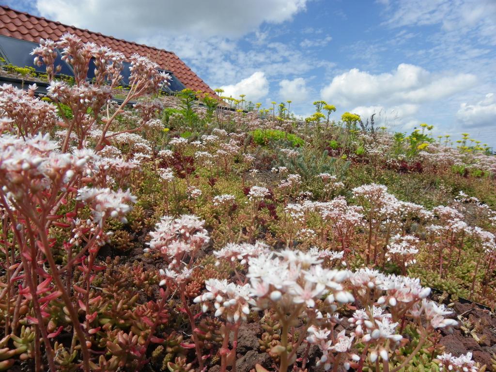 فيلا Fleur De Ciel Loos-en-Gohelle المظهر الخارجي الصورة
