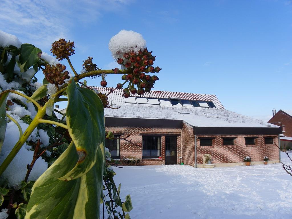 فيلا Fleur De Ciel Loos-en-Gohelle المظهر الخارجي الصورة